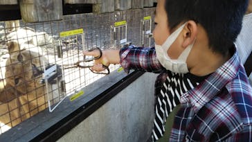 群馬サファリパークに投稿された画像（2021/10/24）