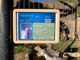 東武動物公園に投稿された画像（2021/10/24）