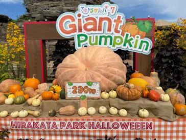 ひらかたパークに投稿された画像（2021/10/24）