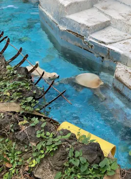 天王寺動物園に投稿された画像（2021/10/24）