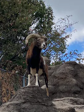 天王寺動物園に投稿された画像（2021/10/24）