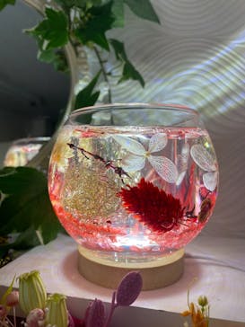 ずこうしつ〜sugamo〜に投稿された画像（2021/10/24）