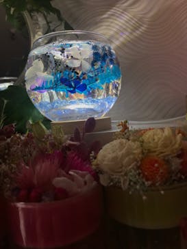 ずこうしつ〜sugamo〜に投稿された画像（2021/10/24）