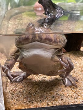 サンシャイン水族館に投稿された画像（2021/10/24）