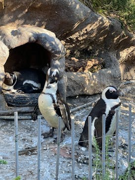 サンシャイン水族館に投稿された画像（2021/10/24）