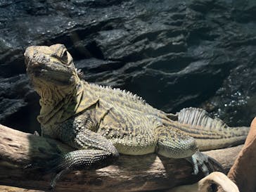サンシャイン水族館に投稿された画像（2021/10/24）
