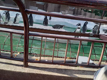 天王寺動物園に投稿された画像（2021/10/24）