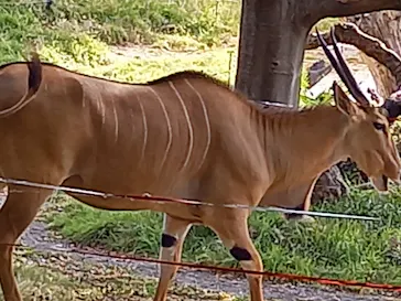 天王寺動物園に投稿された画像（2021/10/24）