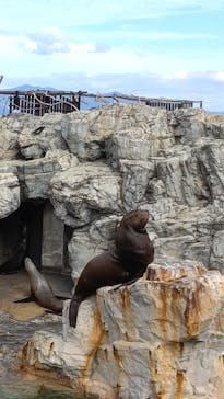 大分マリーンパレス水族館 「うみたまご」に投稿された画像（2021/10/24）