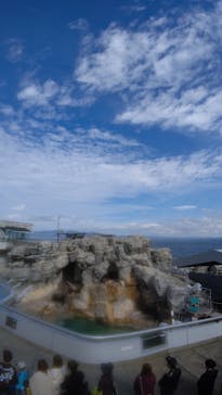大分マリーンパレス水族館 「うみたまご」に投稿された画像（2021/10/24）