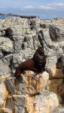 大分マリーンパレス水族館 「うみたまご」に投稿された画像（2021/10/24）