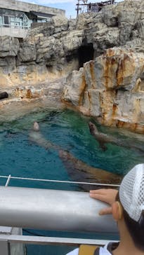 大分マリーンパレス水族館 「うみたまご」に投稿された画像（2021/10/24）