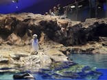 すみだ水族館に投稿された画像（2021/10/24）
