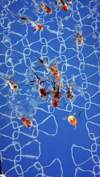 すみだ水族館に投稿された画像（2021/10/24）