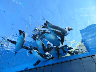 サンシャイン水族館に投稿された画像（2021/10/24）