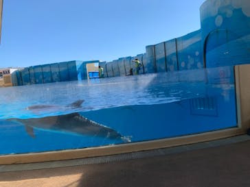 新江ノ島水族館に投稿された画像（2021/10/24）