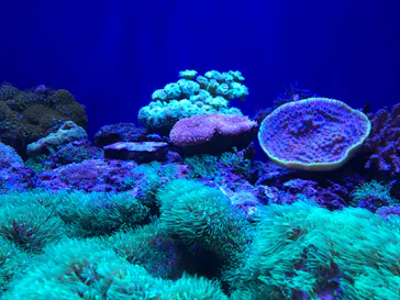 仙台うみの杜水族館に投稿された画像（2021/10/24）