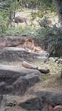 天王寺動物園に投稿された画像（2021/10/24）