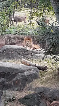 天王寺動物園に投稿された画像（2021/10/24）