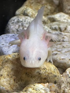 京都水族館に投稿された画像（2021/10/24）