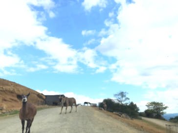 東北サファリパークに投稿された画像（2021/10/24）