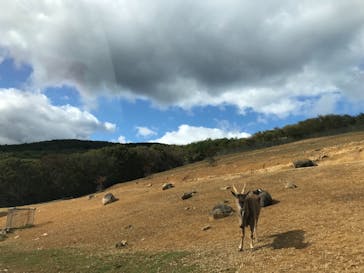 東北サファリパークに投稿された画像（2021/10/24）