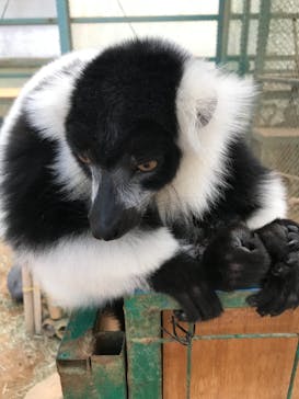 東北サファリパークに投稿された画像（2021/10/24）