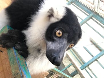 東北サファリパークに投稿された画像（2021/10/24）