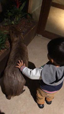 Moff animal world MARK IS みなとみらい店に投稿された画像（2021/10/24）