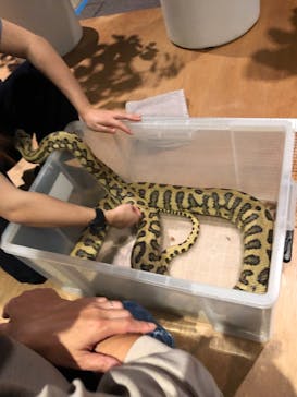 Moff animal world MARK IS みなとみらい店に投稿された画像（2021/10/24）