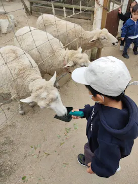 神戸どうぶつ王国に投稿された画像（2021/10/24）