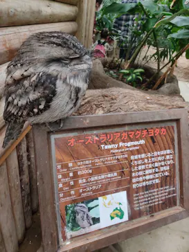 神戸どうぶつ王国に投稿された画像（2021/10/24）