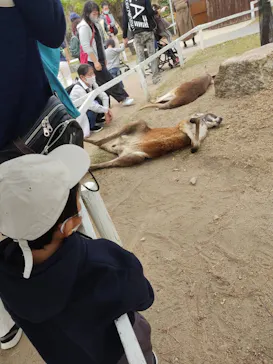 神戸どうぶつ王国に投稿された画像（2021/10/24）