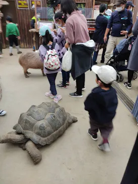 神戸どうぶつ王国に投稿された画像（2021/10/24）