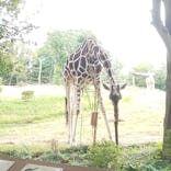 天王寺動物園に投稿された画像（2021/10/24）