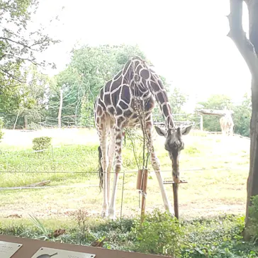 天王寺動物園に投稿された画像（2021/10/24）