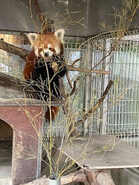 熱川バナナワニ園に投稿された画像（2021/10/24）