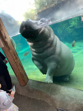 天王寺動物園に投稿された画像（2021/10/24）