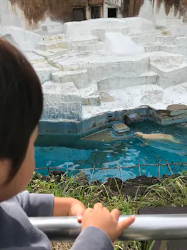 天王寺動物園に投稿された画像（2021/10/24）