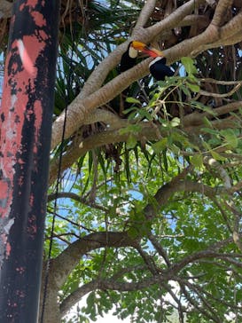 ネオパークオキナワに投稿された画像（2021/10/24）