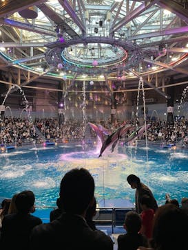 マクセル アクアパーク品川に投稿された画像（2021/10/24）