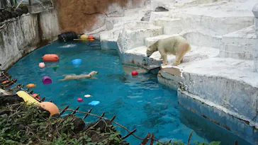 天王寺動物園に投稿された画像（2021/10/24）