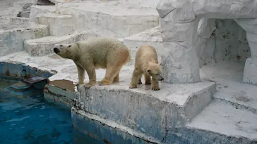 天王寺動物園に投稿された画像（2021/10/24）