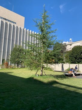 東洋文庫ミュージアムに投稿された画像（2021/10/24）