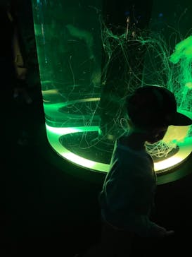 マクセル アクアパーク品川に投稿された画像（2021/10/24）