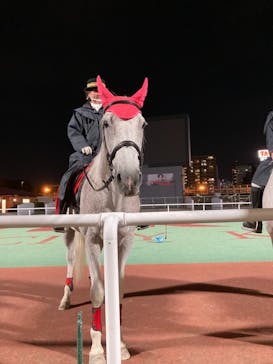 東京メガイルミに投稿された画像（2021/10/24）