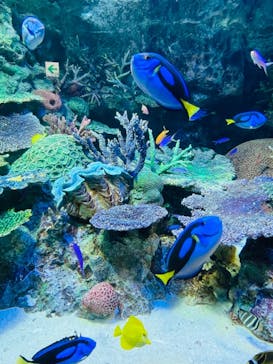 サンシャイン水族館に投稿された画像（2021/10/24）