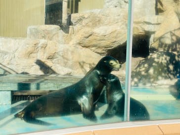 サンシャイン水族館に投稿された画像（2021/10/24）