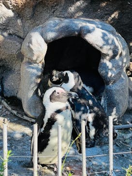 サンシャイン水族館に投稿された画像（2021/10/24）