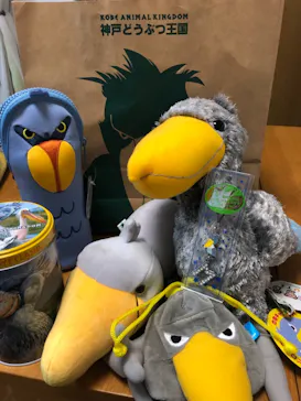 神戸どうぶつ王国に投稿された画像（2021/10/24）